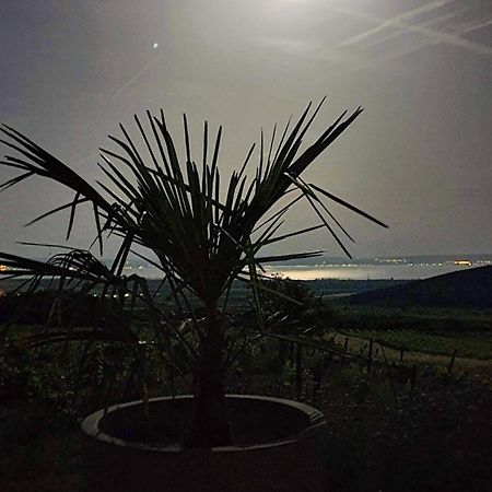 Panorama, Balaton Villa Dorgicse Ngoại thất bức ảnh