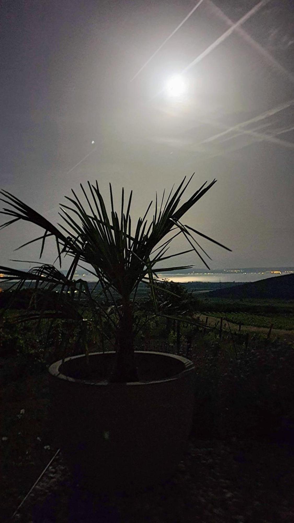Panorama, Balaton Villa Dorgicse Ngoại thất bức ảnh